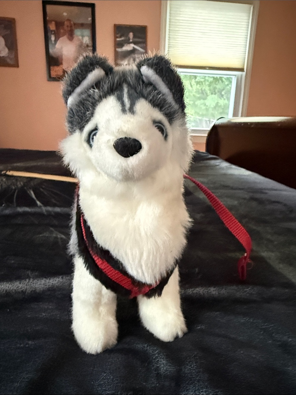 Vintage American Girl of Today Husky